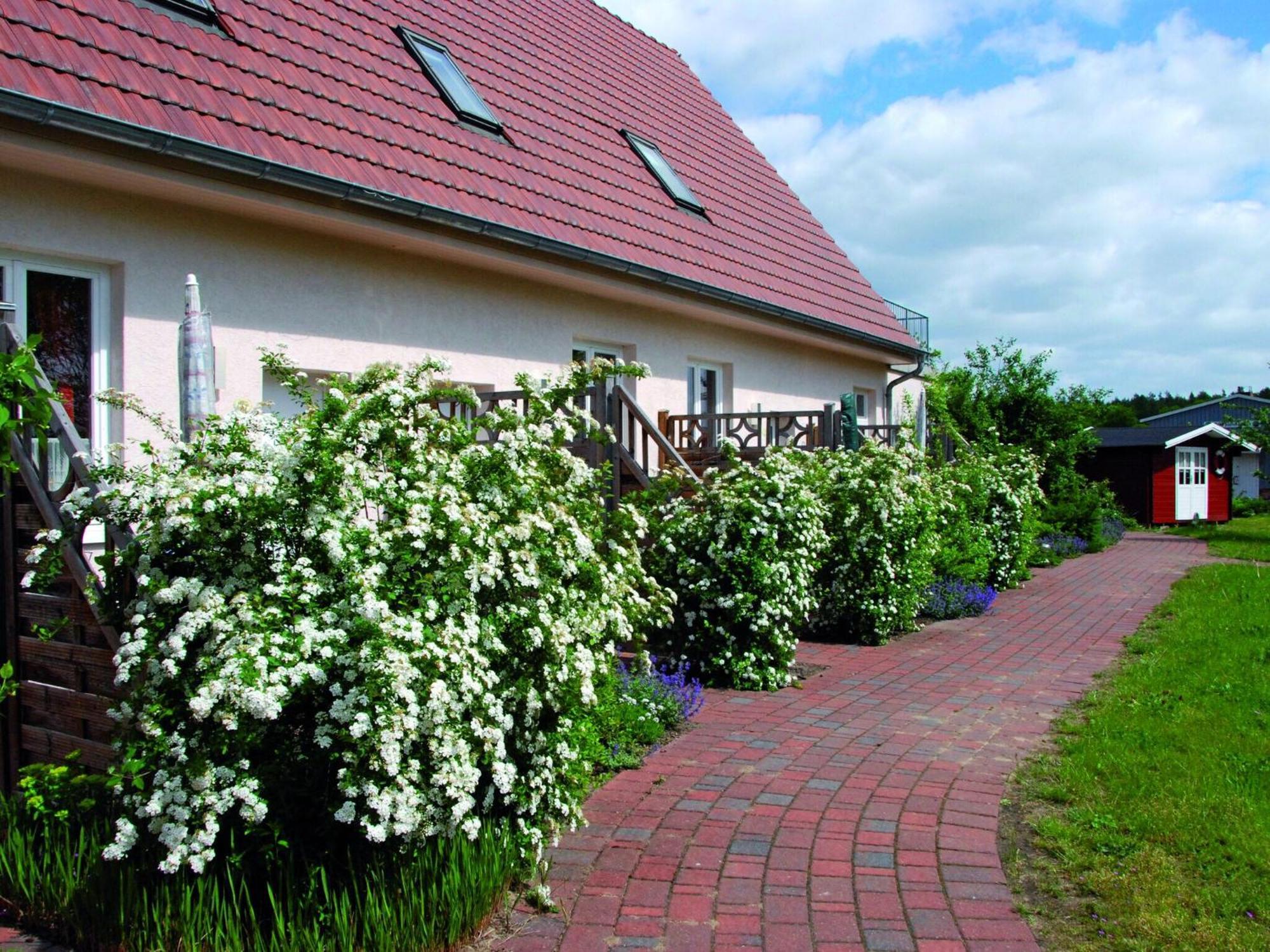 Vila Xxl Reihenhaus Mit Wlan In Buchholz Buchholz  Exteriér fotografie